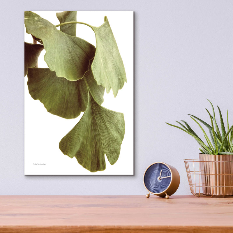 «Ginko Color on White» par Debra Van Swearingen - photographie sans cadre, H 16 po x l 12 po x P 0,13 po