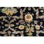 Sona Wool Oriental Area Rug