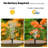 Solar Floating Fountain Pump, Outdoor Water Feature For Bird Bath, Pond & Garden