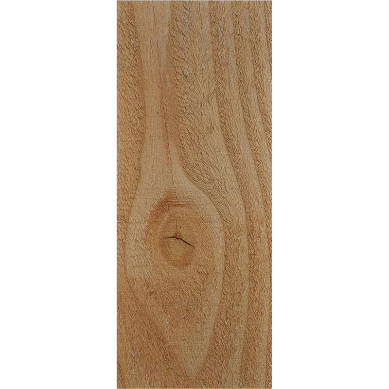 Sapin Douglas, Sapin de Douglas, H 10 po x l 18 po x P 4 po