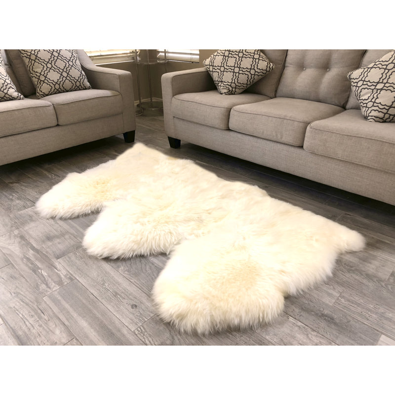 Tapis crème foncé luxueux Wickstrom, Nouveauté 3 pi x 6 pi