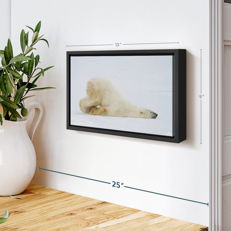 «Lazy Bear», reproduction sur toile, H 9 po x l 13 po