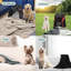 Coussins Katziela-96064458-96064456