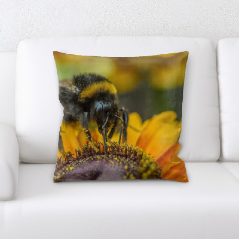 Throw Pillow
