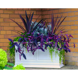 Covington Plastic Planter Box