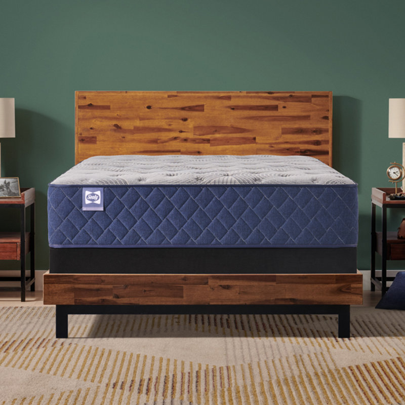 Sealy Dudley Chase 14.5" Soft Tight Top Innerspring Mattress, Queen