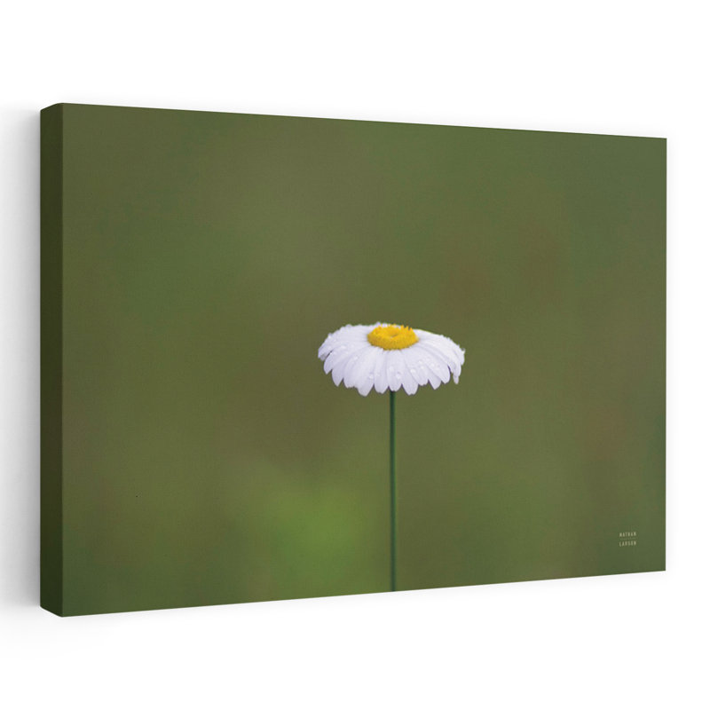 Art contemporain, paysage de marguerite abstraite, H 40 po x l 60 po