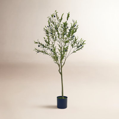 Aarav 71" Tree in Pot