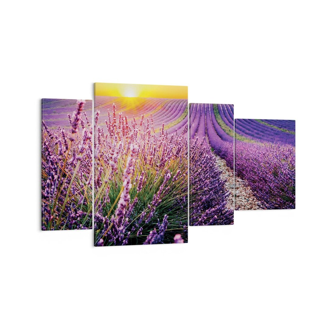 4-tlg. Leinwandbilder-Set Field Lavender Sun