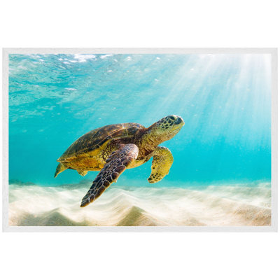 Abdisalam Single Picture Frame Print