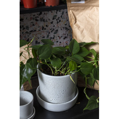 Pot à fleurs en céramique Zandra