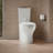 Persuade Toilet Tank With, Dual-Flush