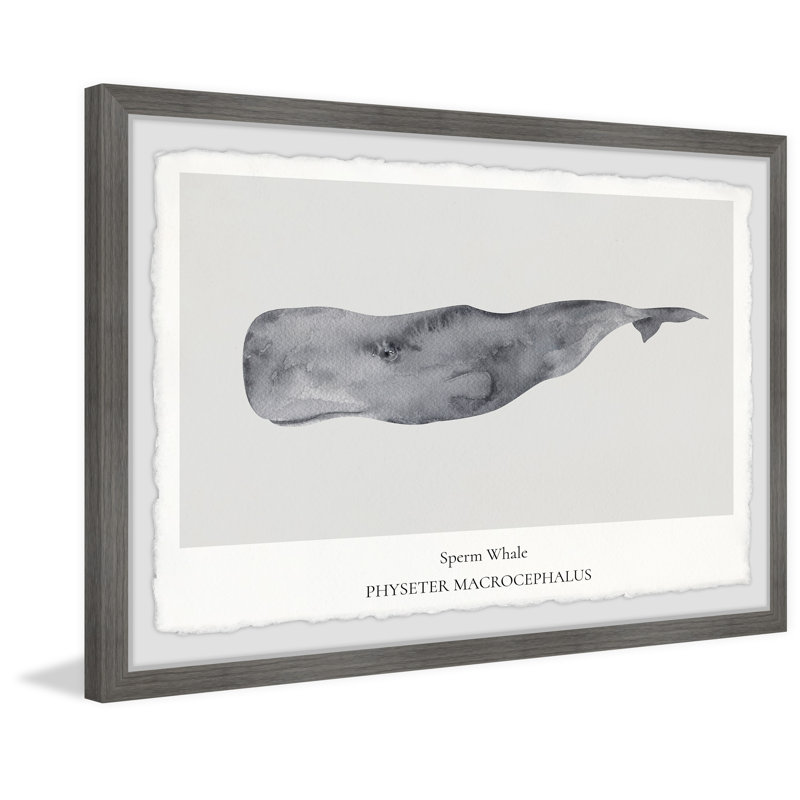 Physeter Macrocephalus 1 Piece Single Picture Frame Painting, 20cm H x 30cm W x 3.81cm D