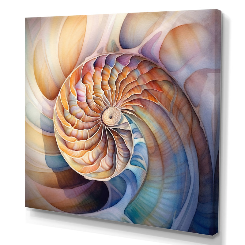 Seashell Symphony II sur impression sur toile, H 16 po x l 16 po, Toile tendue