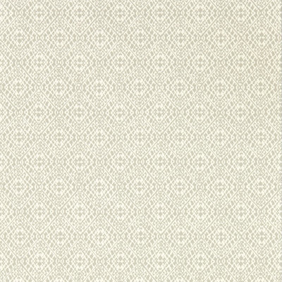 Pinjara Trellis 10.05m x 52cm Matte Wallpaper Roll