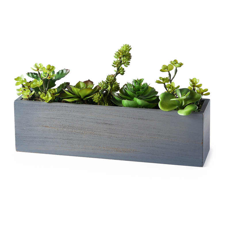 8.5'' Faux Succulent Plant in Wood Planter