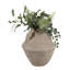 Vase rustique texturé avec poignées pour la décoration intérieure-318782691