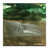Wrapped Canvas selected
