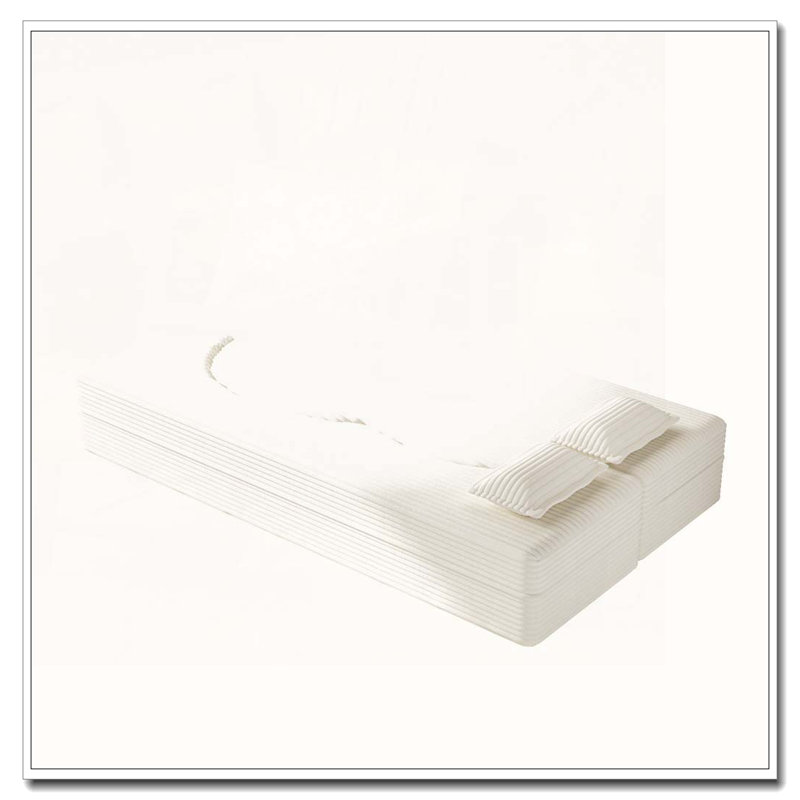 Canapé moderne avec 2 coussins, Beige et blanc, Velours côtelé