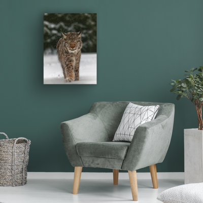Œuvre sur toile, Michaela Firesova
