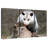 Brampt Opossum-108168322