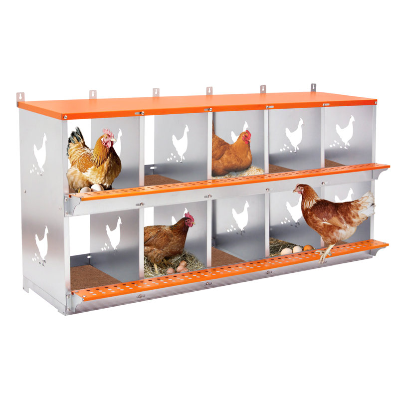 Boîte de nidification en métal à 10 baies pour poules / canards, collection et assemblage facile d'œufs, cage en acier ventilé