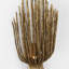 Chapman & Myers Astra 17" Sculpted Sconce-990040843