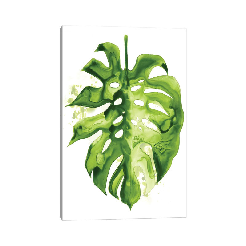 Monstera II by Grace Popp - Wrapped Canvas Print, 30.48 cm H x 45.72 cm W