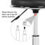 Backed Adjustable Height Ergonomic Lab Stool
