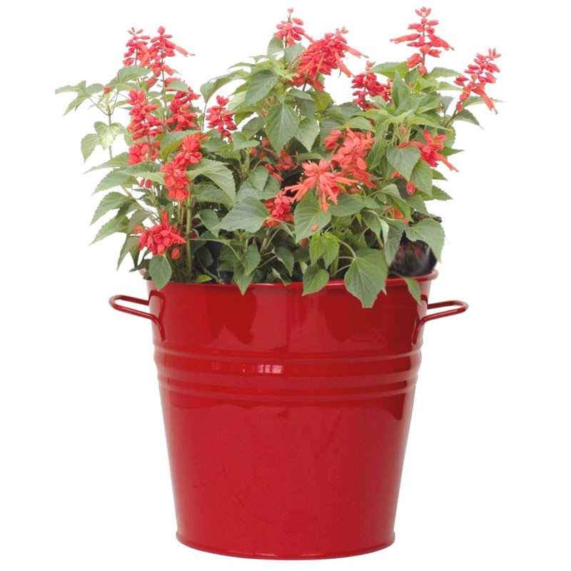Pot à fleurs en acier galvanisé Venne