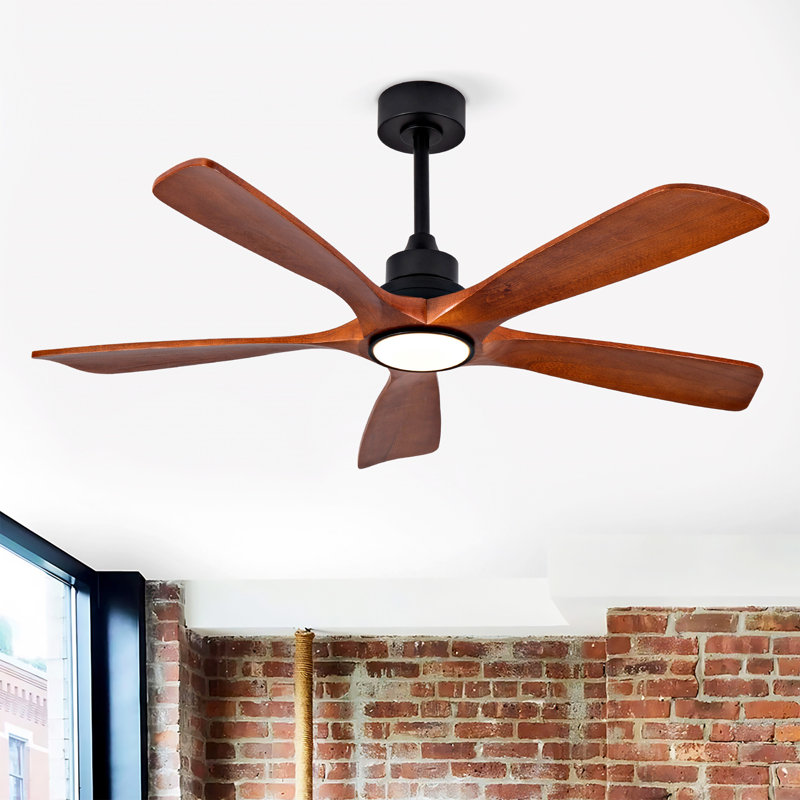 Ventilateurs de plafond avec lumières et télécommande, Noir, Brun