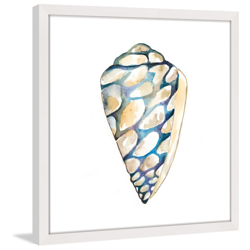 "Aquarelle Shells III" Framed Print, 24" H x 24" W x 1.5" D