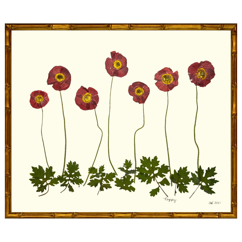 Poppy Garden Print by Sandy Whitaker, 17" H x 21" W, Gold