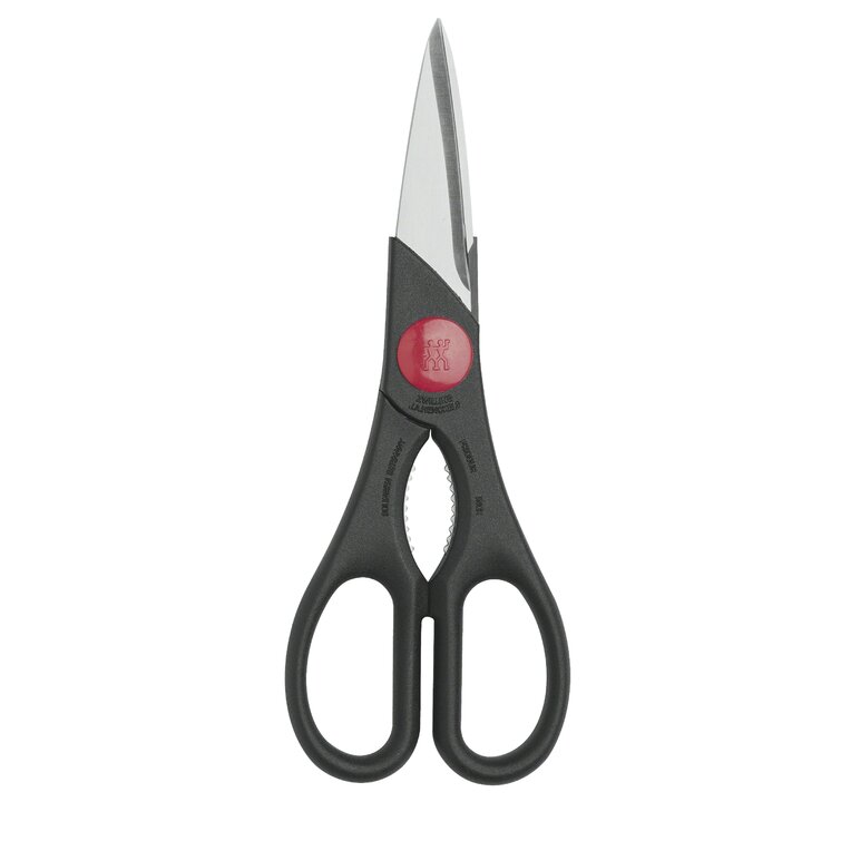 https://assets.wfcdn.com/im/44591854/resize-h755-w755%5Ecompr-r85/4516/45163181/Zwilling+Twin+All-Purpose+Kitchen+Shears.jpg