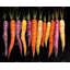 Napperon Carrots Variétés - Mauve