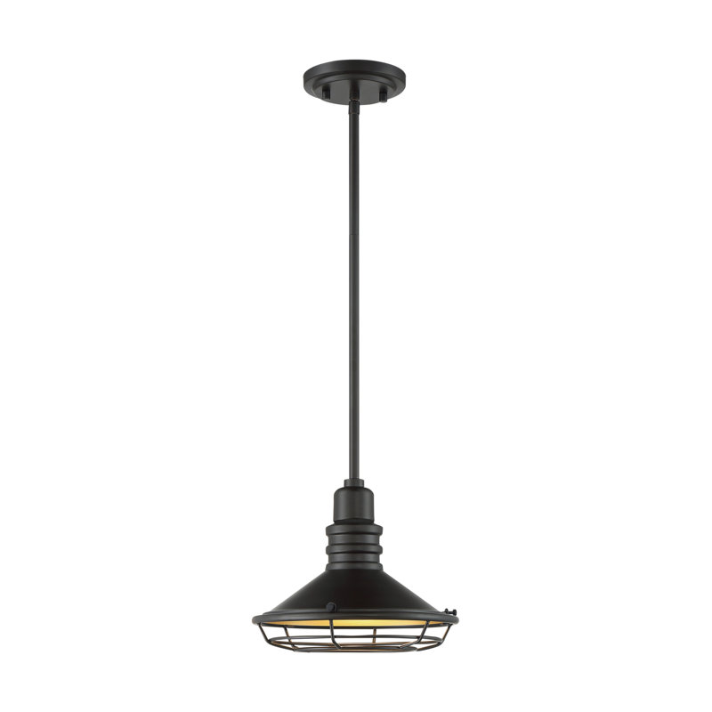 Luminaire suspendu en forme de lanterne à 1 lumière Parkdale, H 8,13 po x l 9,75 po x P 9,75 po, Bronze foncé / Or
