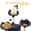 192cm H Cat Tree-1144756289