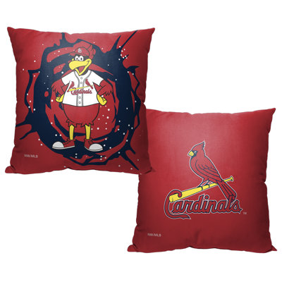 Reversible Pillow Cover