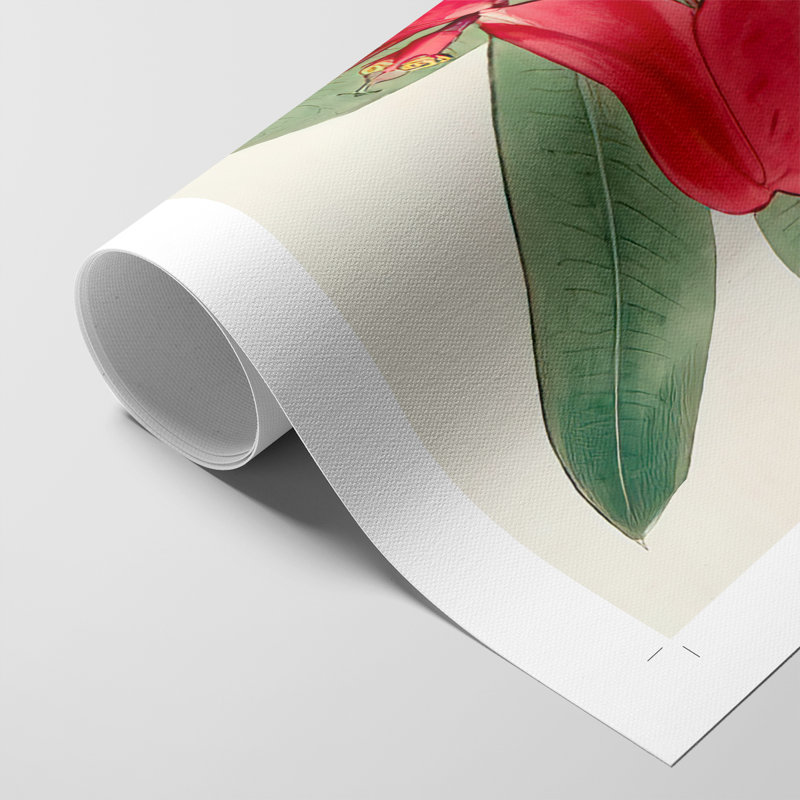 FloraOf TheTropics III - Impression sur toile seulement - NON-CADRE, H 12 po x l 8 po