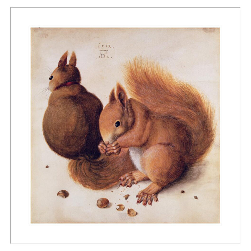 Squirrels by Albrecht Dürer -Framed Giclee Print, 34.36" H x 33.5" W