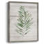 Tropic Frond II Framed Print - Solid Wood 47759-367149628