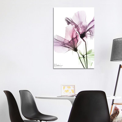 Splendid Beauty II by Albert Koetsier - Wrapped Canvas Print