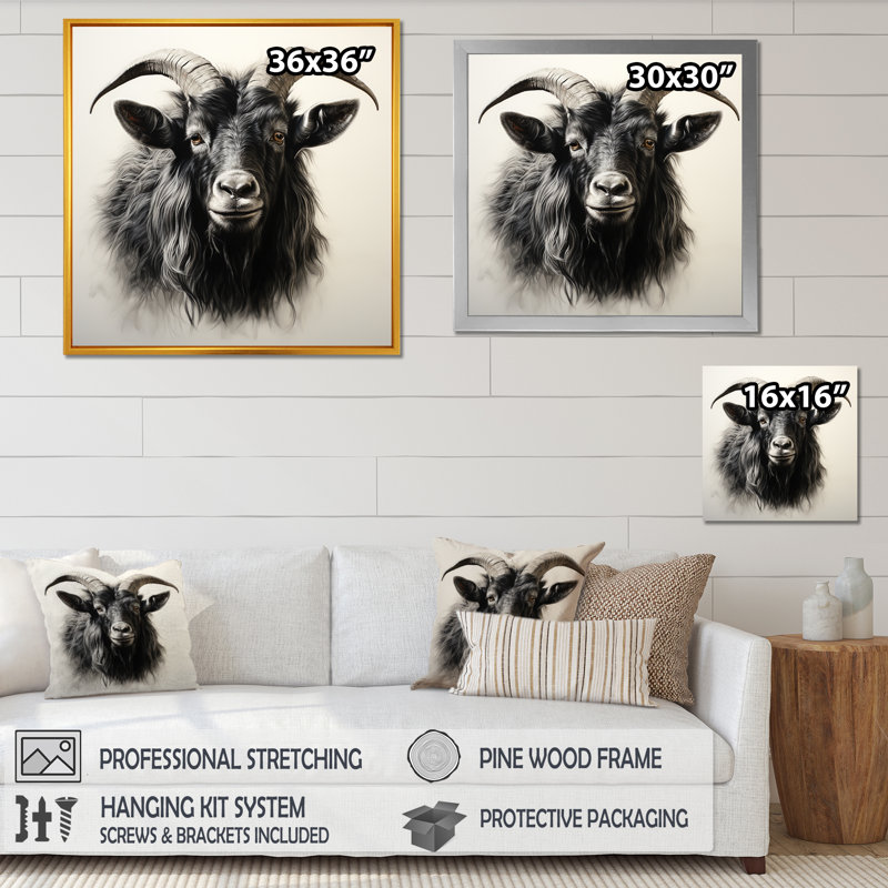 «Black Charcoal Goat Portrait III», art mural animal de chèvre, Cadre doré simple, H 36 po x l 36 po x P 1,5 po