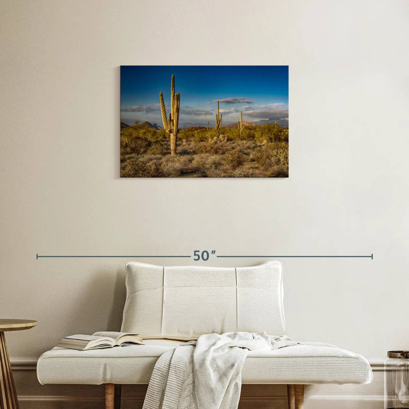 Harnek Arizona Desert Cactus, 20" H x 30" W