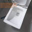 Toilette allongée une pièce à double chasse blanc-or (siège inclus)