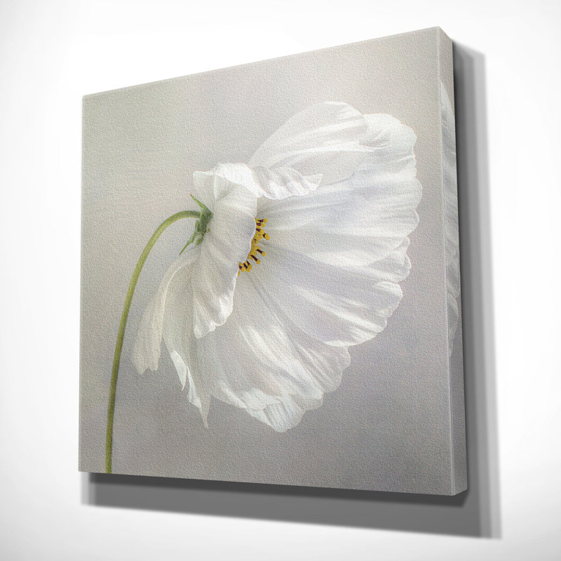 «Daisy Détail II», reproduction d'art encadrée, H 24 po x l 24 po x P 1,5 po, Toile tendue