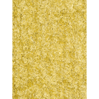 Astor Indoor Rug