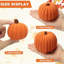 Ensemble de 12 citrouilles d'automne au crochet faites à la main avec des décorations d'Halloween de 2,36, 3,15 et 4 pouces-130890678