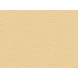 Contract Fabric
