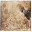 Angela Harris Dunmore 8x8 Polished Hand Painted Look Ceramic Tile
